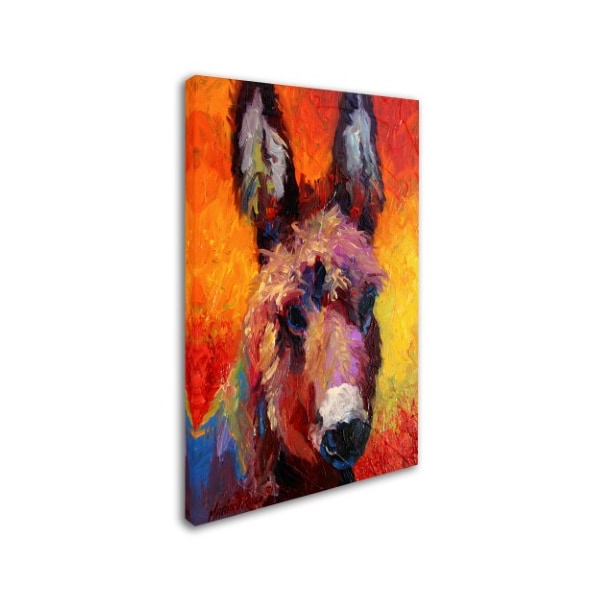 Marion Rose 'Donkey Portrait II' Canvas Art,12x19